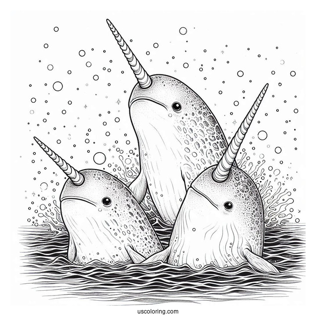 Three Realistic Narwhal Coloring Page Whales Emerging From Water
