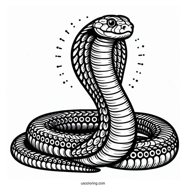 Coloring Sheet Of King Cobra Snake
