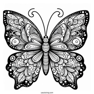 Detailed Coloring Sheet Of Butterfly