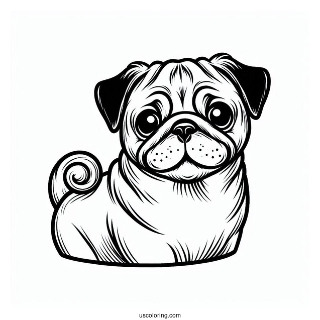 Coloring Page Of Pug With Tilted Head