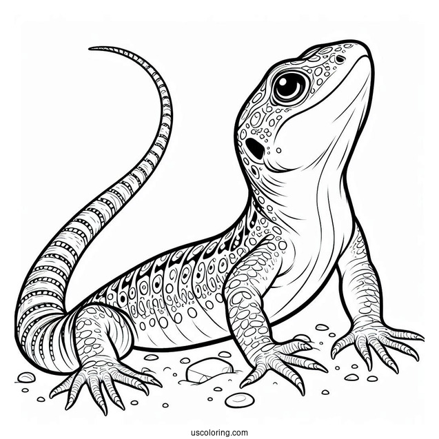 Lizard Coloring Page Looking Up From Ground