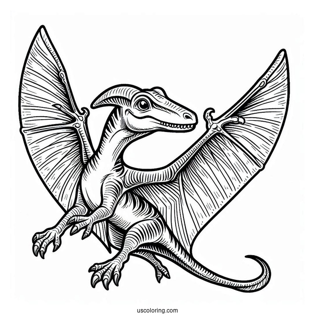 Detailed Pterodactyl Coloring Page In The Air