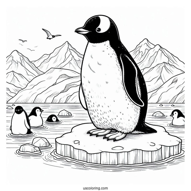 Gentoo Penguin On Ice Berg Coloring Sheet