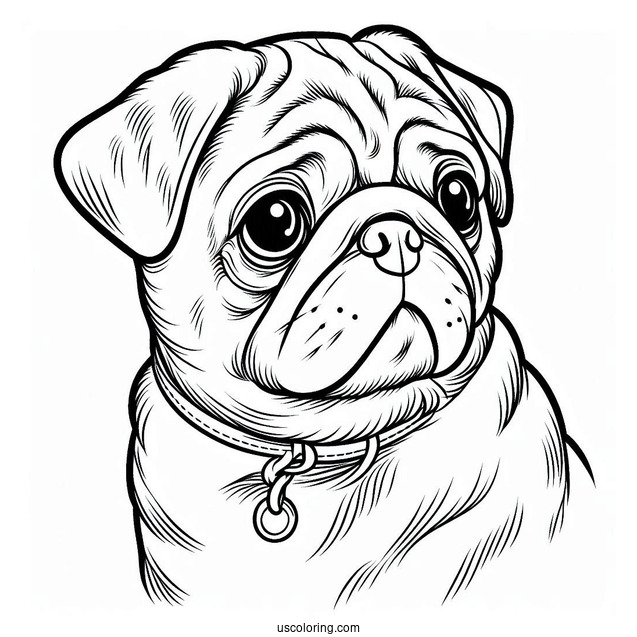 Coloring Page Of Pug With Tilted Head