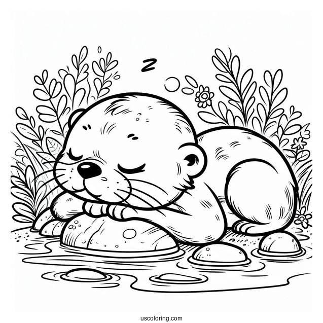 Cute Otter Coloring Page Sleeping In The Water