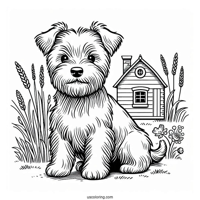 Coloring Page Of Terrier In Front Of Dog House