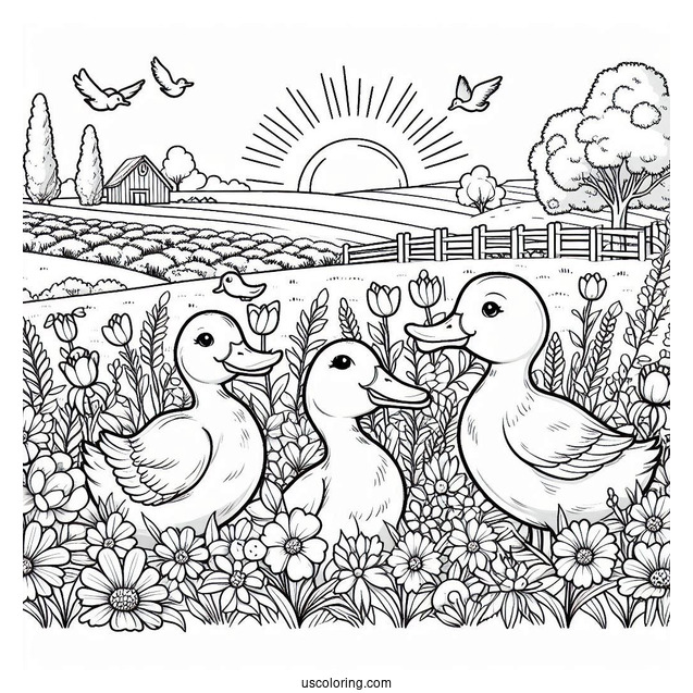 Farm Ducks Walking Through Flower Field