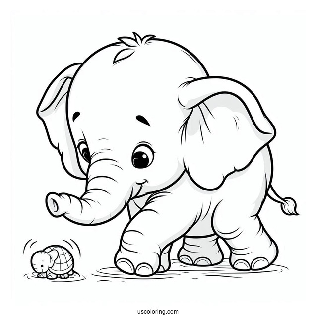 Baby Elephant Learning To Walk