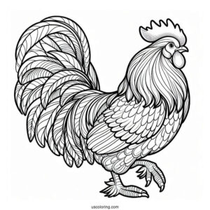 Brahma Chicken Coloring Page