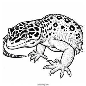 Lizard Coloring Page of Close Up Of Leopard Gecko