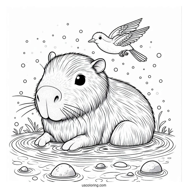 Bathing Capybara Coloring Page With Bird On Its Head