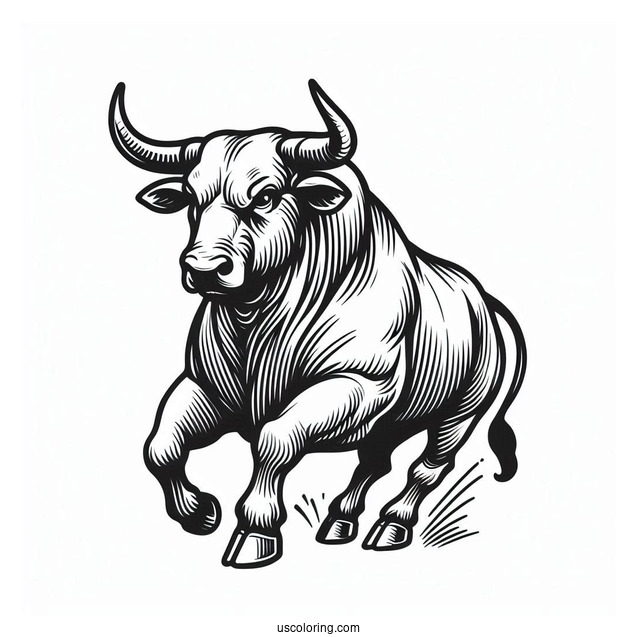 Outline Of Bull Running