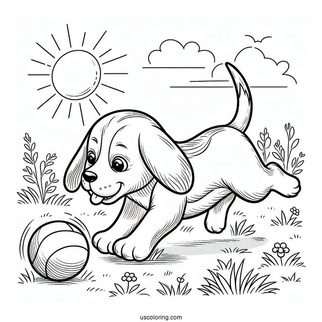 Beagle Chasing Ball To Color
