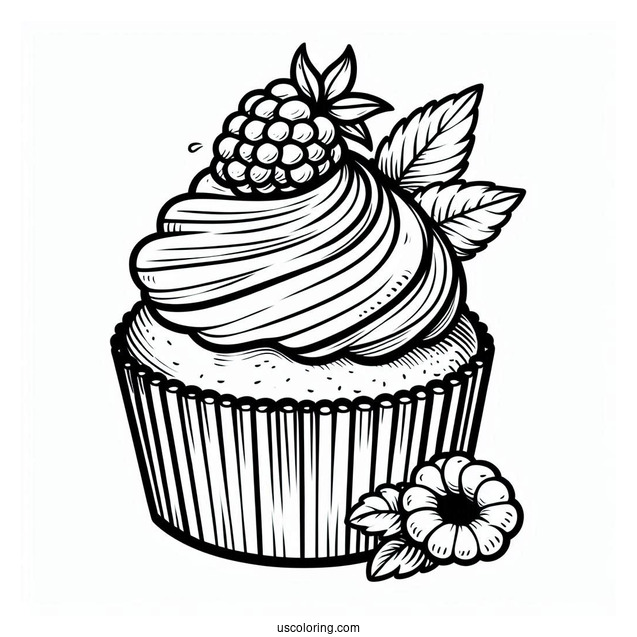 Easy Cupcake With Raspberry To Color