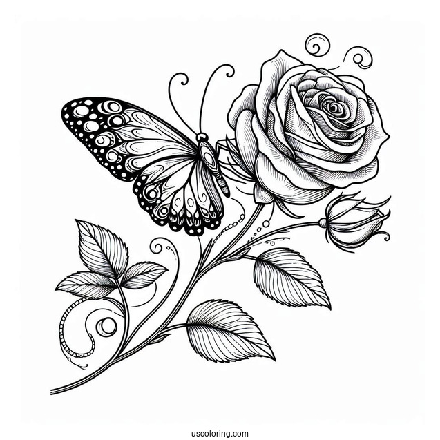 Butterfly Resting On Rose Stem