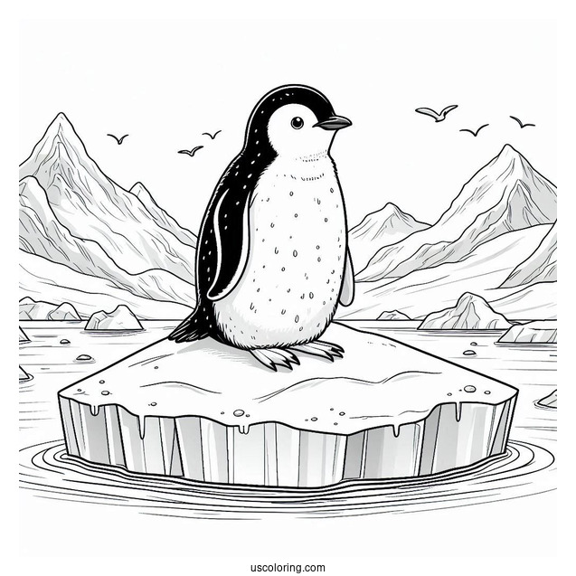 Gentoo Penguin On Ice Berg Coloring Sheet