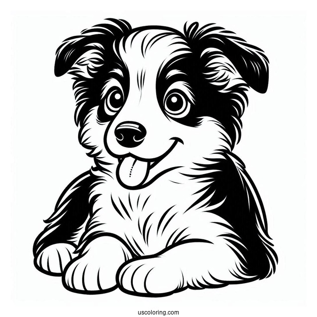 Playful Border Collie Puppy Face