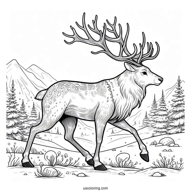 Detailed Reindeer Walking In The Wild To Color