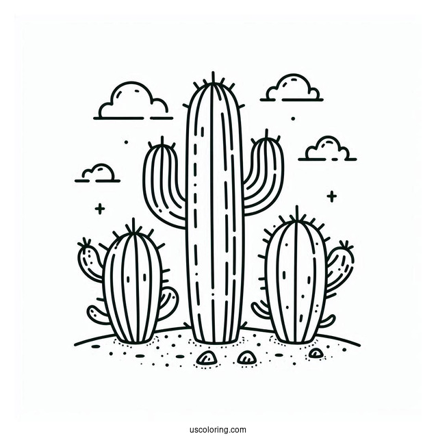 Easy Outline Of Cactus Plants For Toddlers