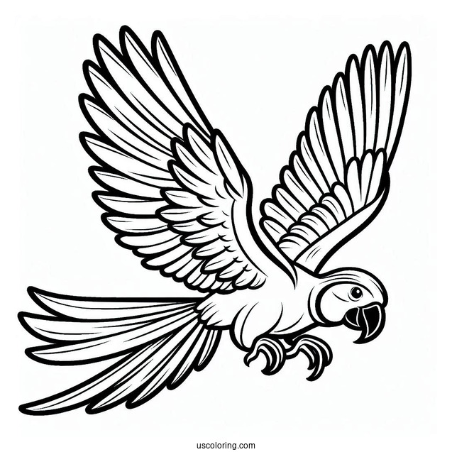 Simple Outline Of a Parrot Flying