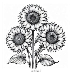 Three Big Beautiful Sunflowers