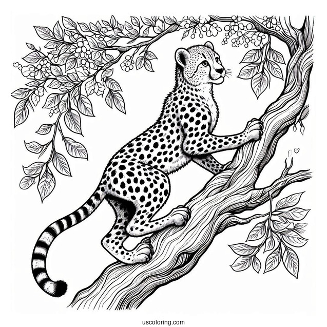 Detailed Cheetah Coloring Page Climbing Tree