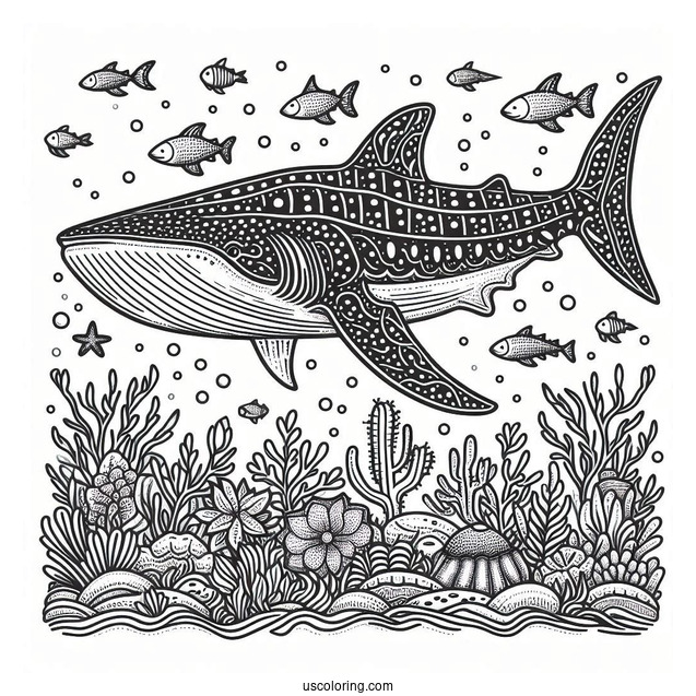 Detailed Whale Shark Coloring Page