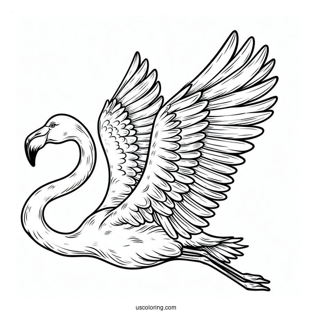 Flamingo Flying With Wings Spread Wide Open