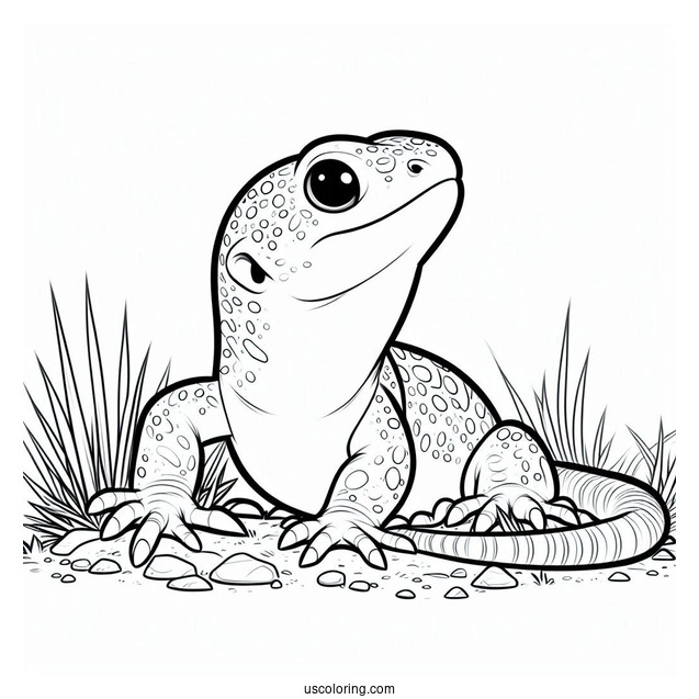 Lizard Coloring Page Looking Up From Ground