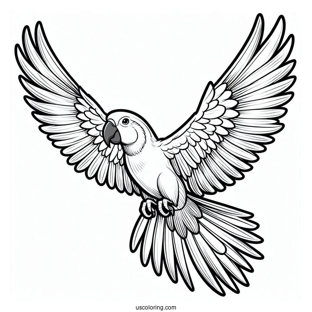 Parrot Flying With Large Wings
