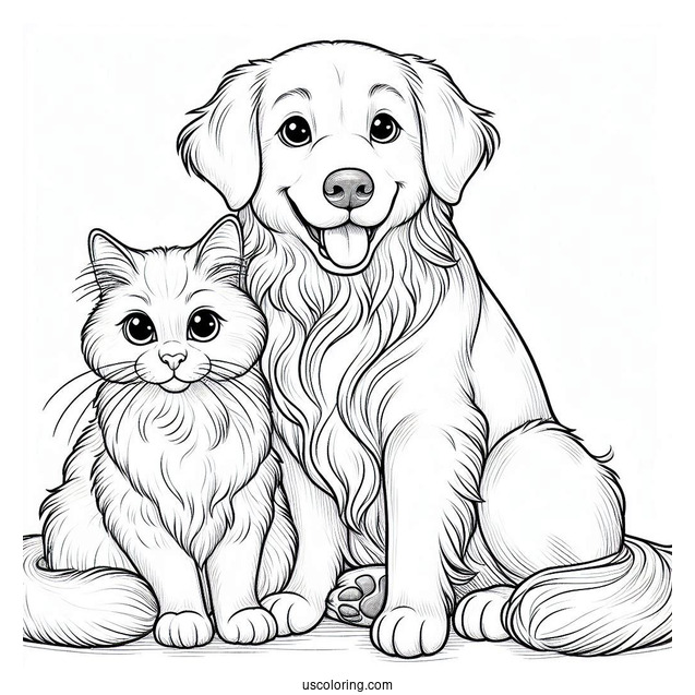 Golden Retriever And Cat Sitting Together Coloring Page