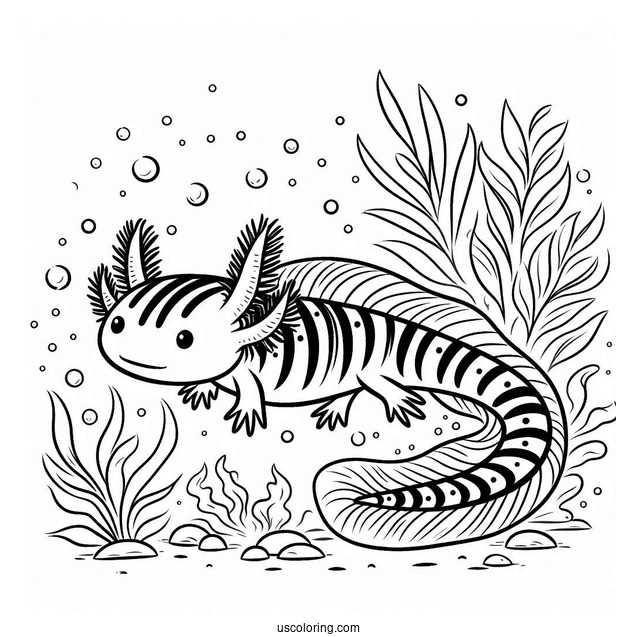 Striped Axolotl Coloring Page Swimming Towards The Sea Floor