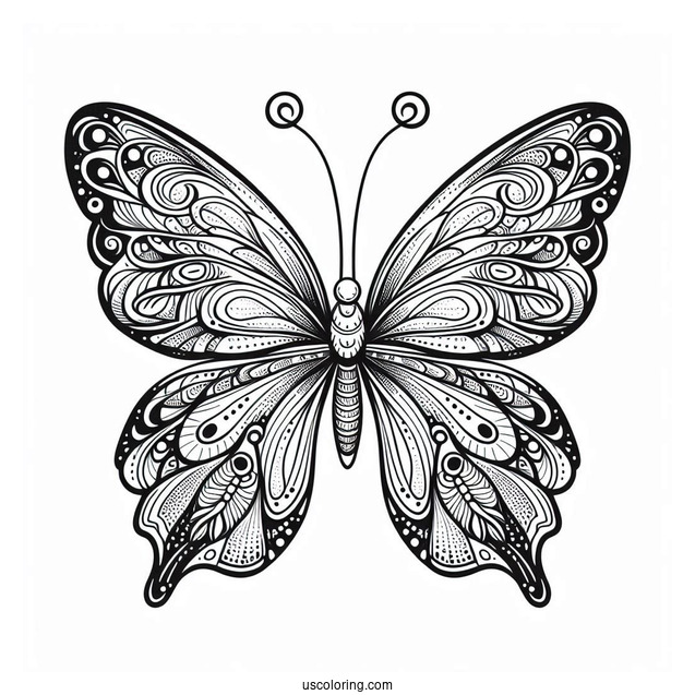 Pretty Butterfly With Detailed Wings To Color
