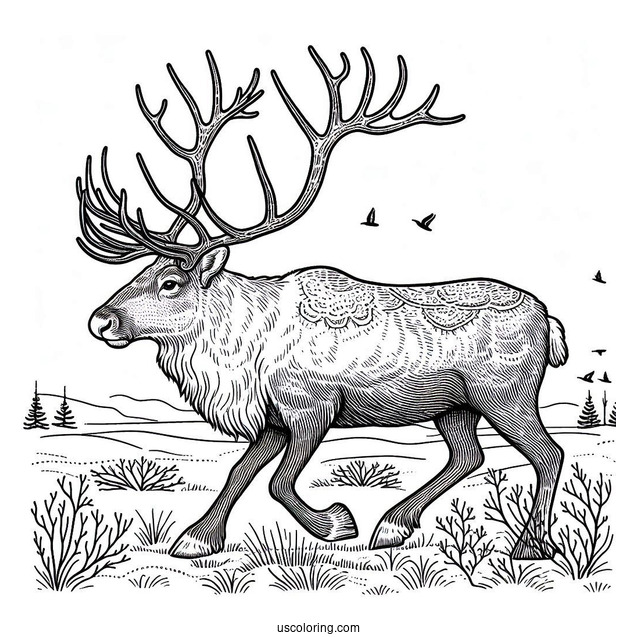Coloring Page Of a Large Male Reindeer During Winter