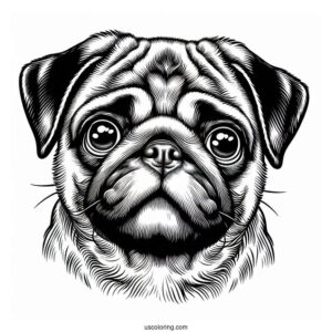 Detailed Pug Face Coloring Page