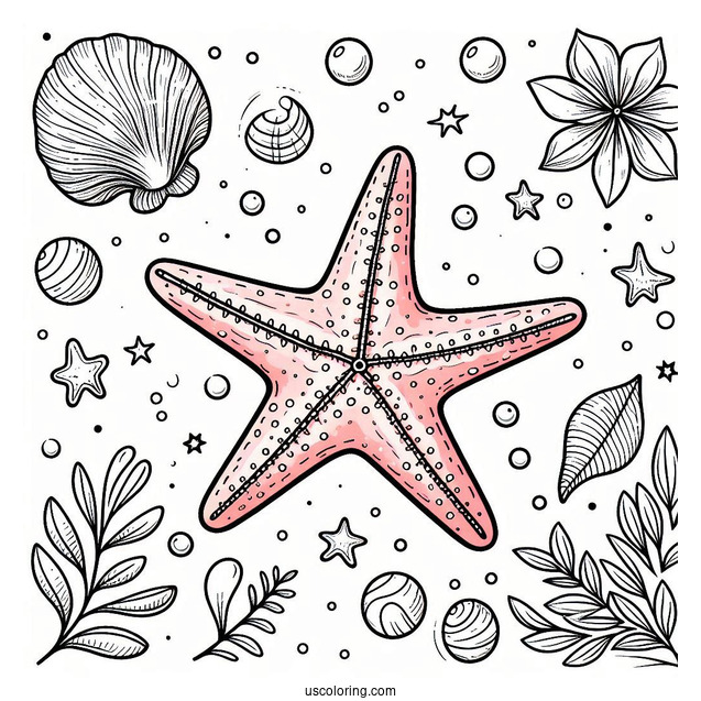 Peach Starfish Coloring Page From Finding Nemo