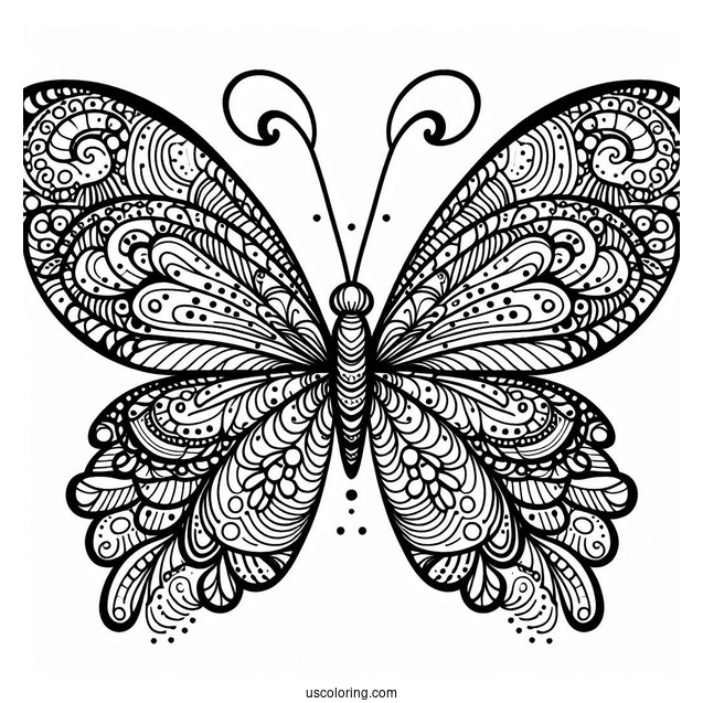 Butterfly Coloring Page Zentangle With Elaborate Wings