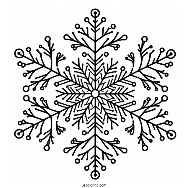 Stellar Dendrite Snowflake Coloring Page Outline