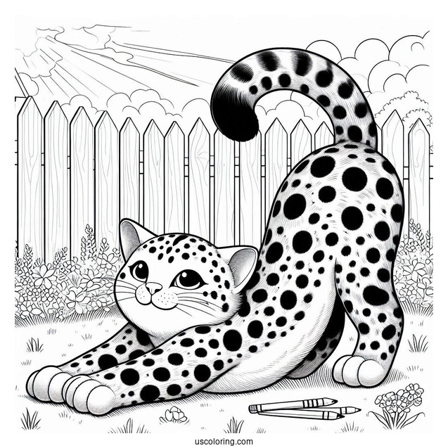 Spotted Cat Stretching In Backyard Coloring In
