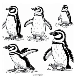 Marching African Penguins Coloring Sheet