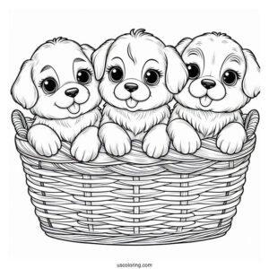 Three Puppies In Basket