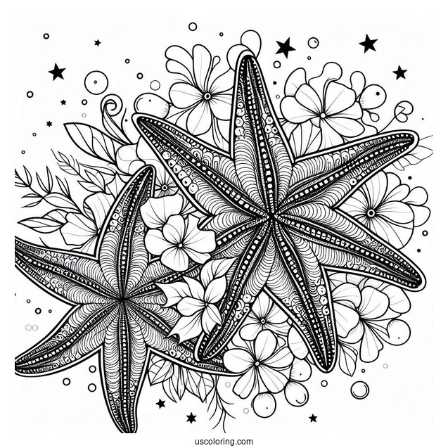 Starfish Coloring Page And Flower Mandala