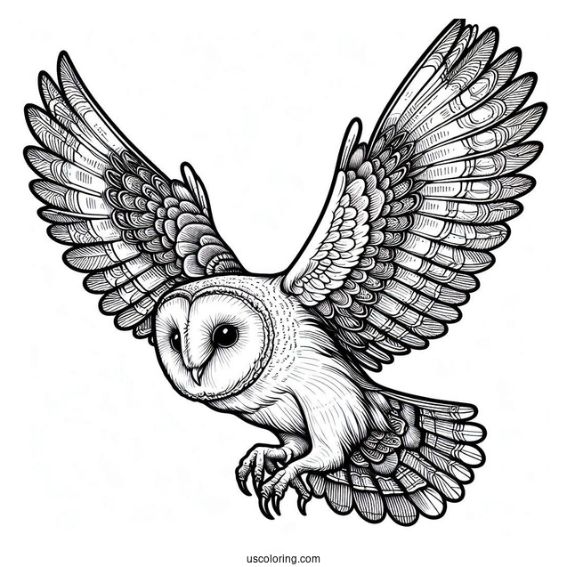 Barn Owl Flying With Large Wings