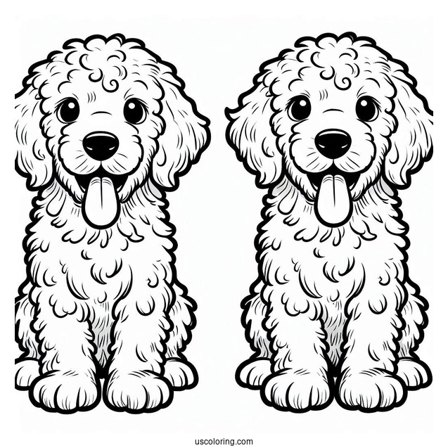 Labradoodle Puppy With Tongue Out Coloring Sheet