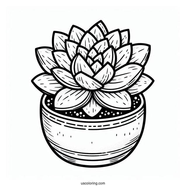 Simple Succulent Coloring Page In A Round Flower Pot For Kids