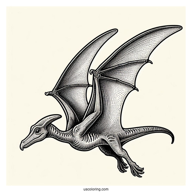 Pterodactyl Coloring Page With Textured Skin And Detailed Wings