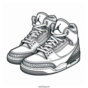 Detailed Pair Of Air Jordans Coloring Page