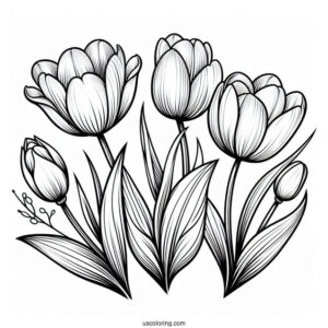 Flower Coloring Pages Of Four Blooming Tulips For Kids