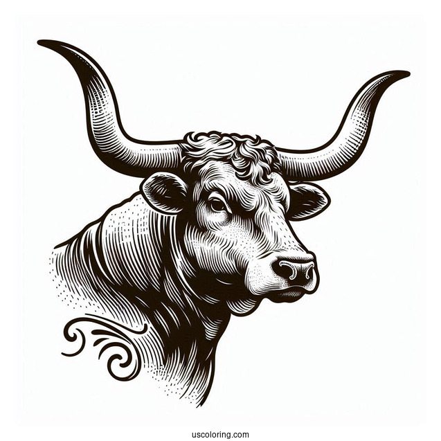 Texas Longhorn Bullhead Coloring Sheet