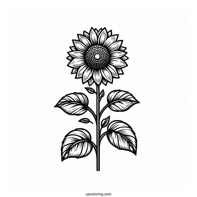 Tall Standing Sunflowers Coloring Sheet